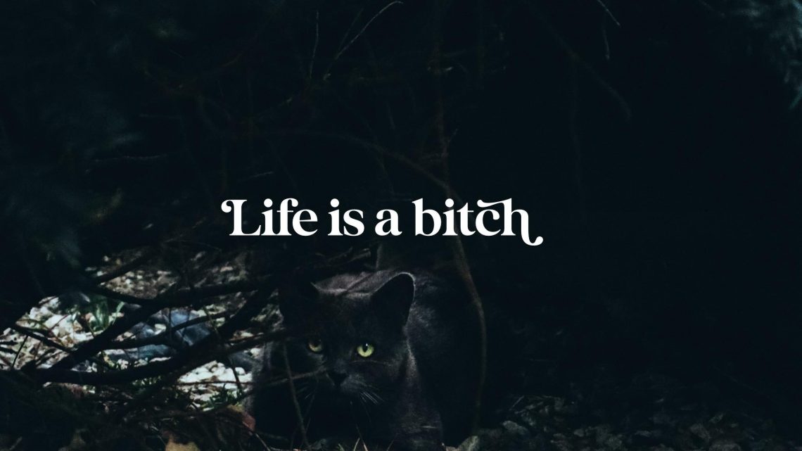 life is a bitch