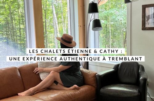 chalets Etienne Cathy