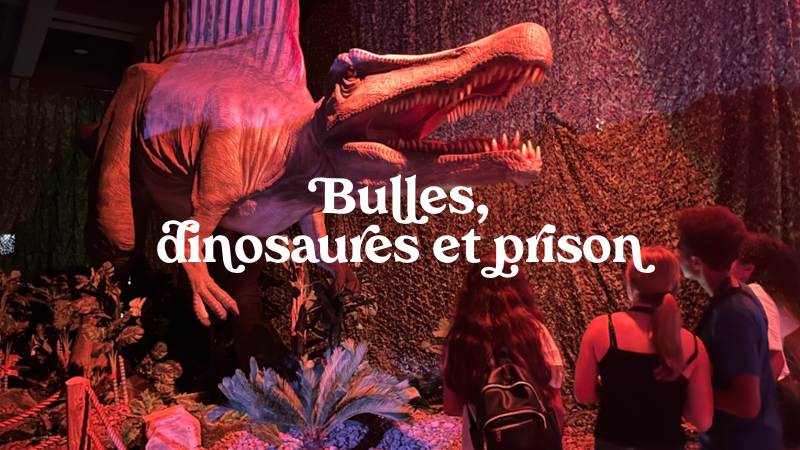 bulles